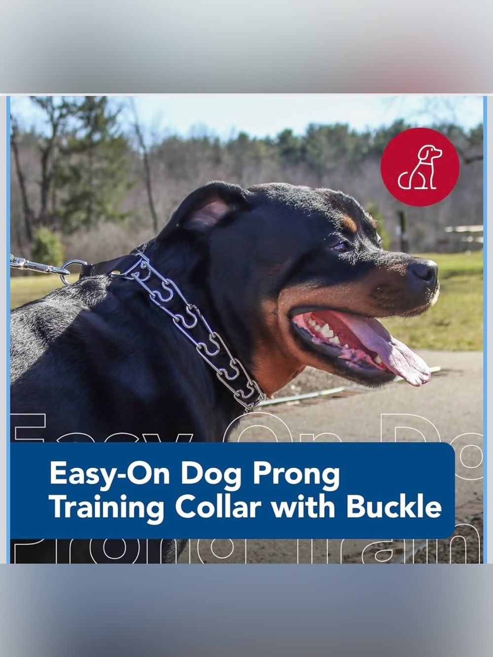 Coastal Pet Titan Easy-On Dog Prong Training Collar with Buckle - Durable Metal